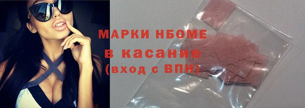 прущий лед Алзамай
