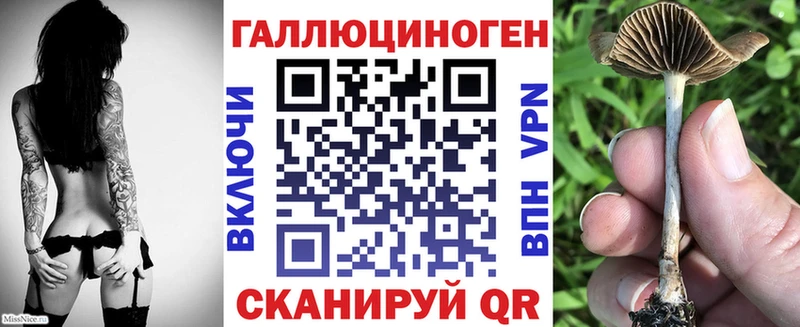 Галлюциногенные грибы Psilocybe  Серов 